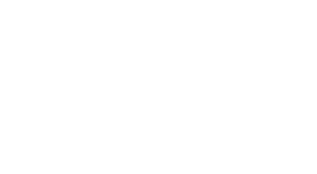 SV3N Logo
